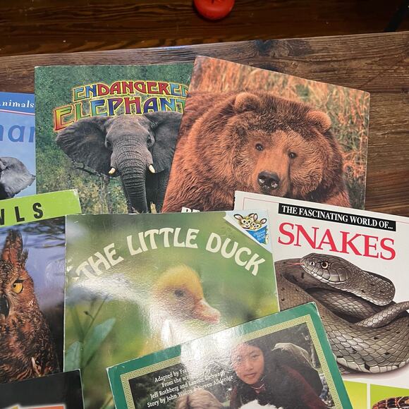 Book Bundle: Lot of 10 Children's Picture Books about Animals for Summer Reading - Picture 5 of 7
